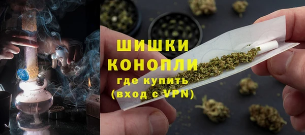 ешки Арсеньев