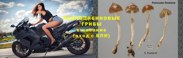 прущие крисы Мегион