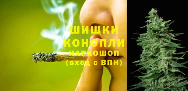 PSILOCYBIN Армянск
