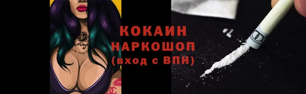 гашик Покровск