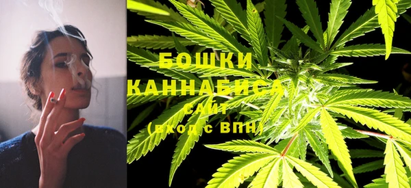 ешки Арсеньев