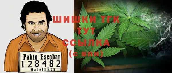 PSILOCYBIN Армянск
