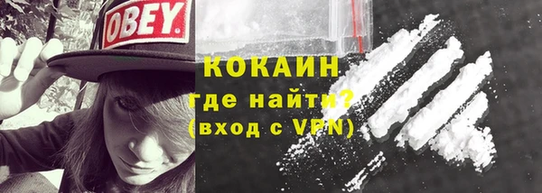 гашик Покровск