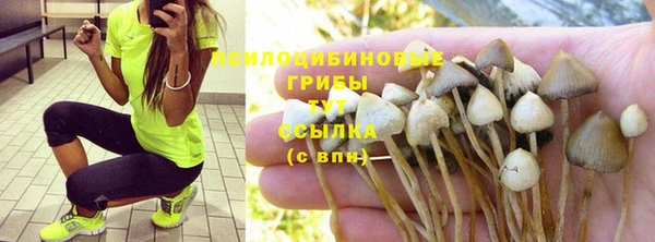 2c-b Аркадак