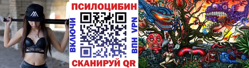 закладки  Усолье-Сибирское  Псилоцибиновые грибы мухоморы 